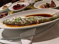 -金美华轩(东方路齐鲁店)