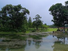 -两河城市森林公园