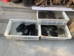 -华声天桥民俗文化园