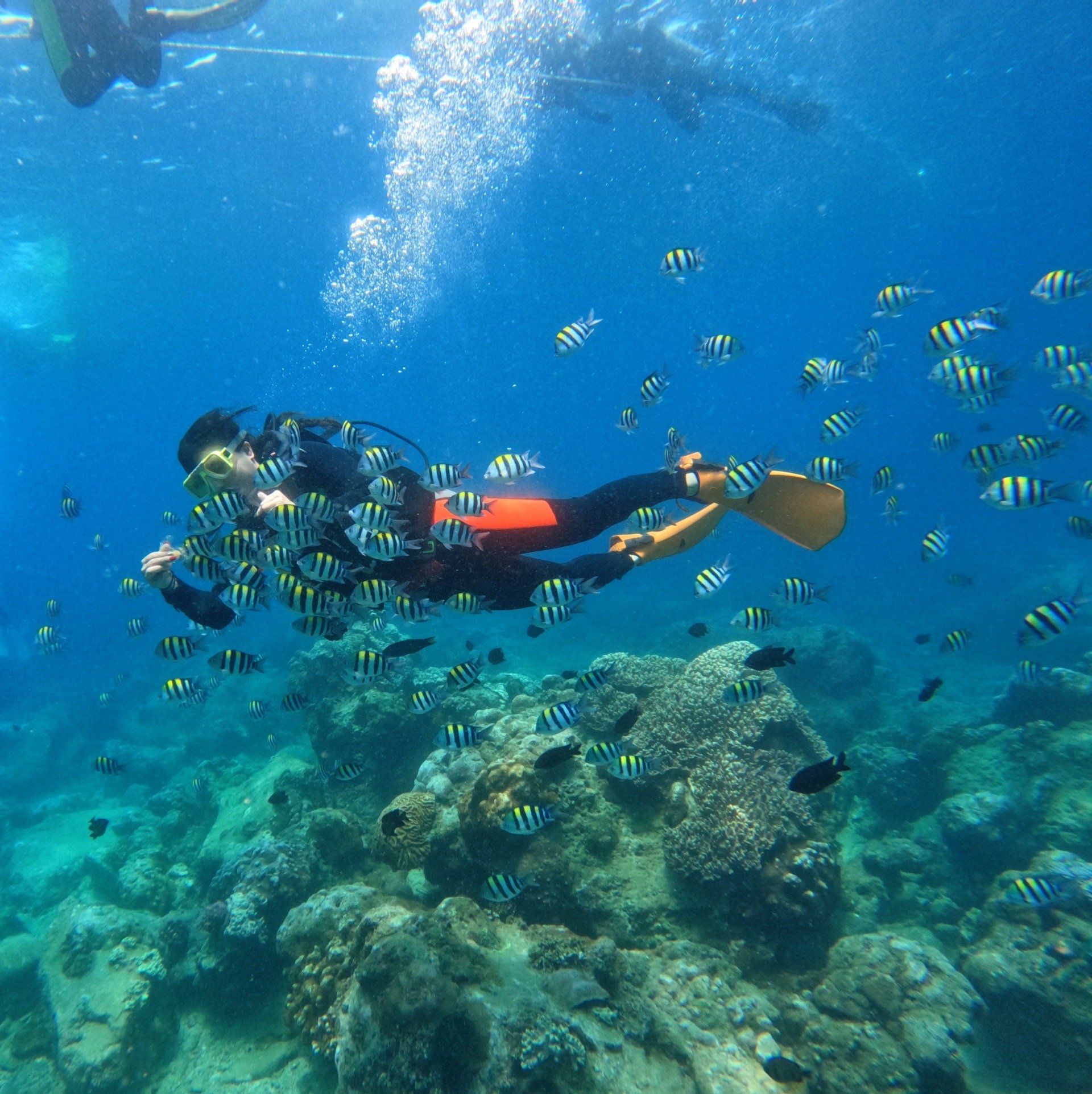 海南穷游玩到三亚潜水含拍照,我太爱了!