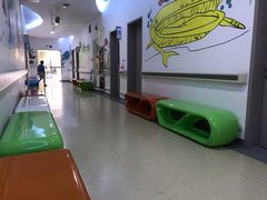 -南方医科大学深圳医院