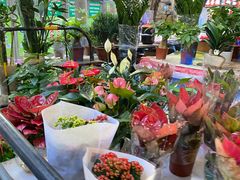 -东川新街市(东川市场店)