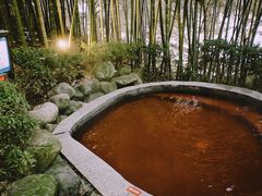 -江南天池高山汤泉城