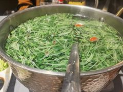 鸡汤萝卜苗-阿庄新豫菜(通泰路店)
