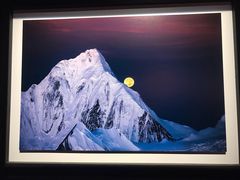 -罗红摄影艺术馆