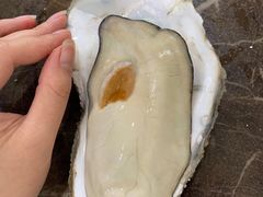 -蚝专家(北滘店)