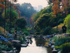 -云溪植物园