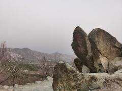 -北京鹫峰国家森林公园