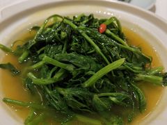 清炒豌豆荚-惠丰堂饭庄·烤鸭·京味菜(翠微路店)