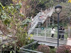 -佛山华盖山公园