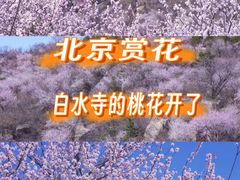 -白水寺森林公园