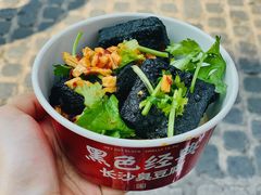 -黑色经典臭豆腐·湖南特产(坡子街店)