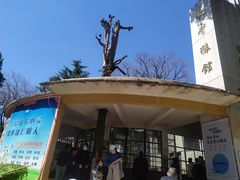 -昆明动物园