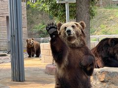 -南京金牛湖风景区
