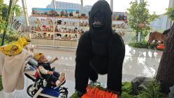 -IMON·HANSA潮玩玩偶毛绒玩具(通州万象汇店)