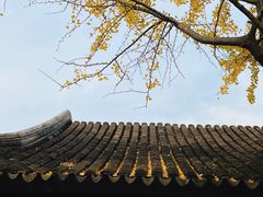 -拙政园