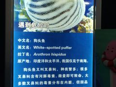 -厦门海底世界
