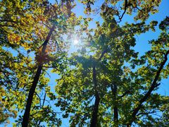 -陕西省红河谷森林公园