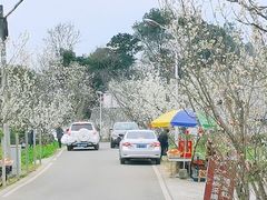 -樱桃山旅游景区