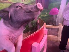 -正佳雨林生态植物园
