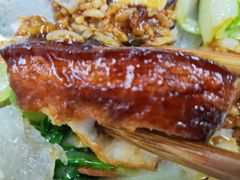 -复旦大学本部-食堂
