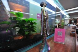 看着鱼儿们剪头是啥感觉-小左美发