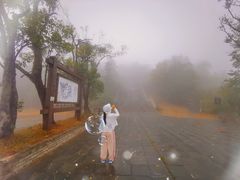 -冶父山国家森林公园