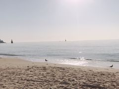 -海云台海滩