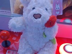 -天空之城游乐体验世界(义乌之心店)