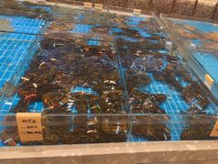 -新丁香海鲜酒店(银海商贸城店)