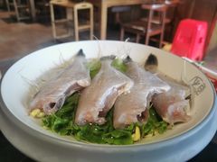 -杨家火锅(国美店)