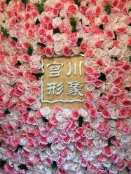点击看大图 -宫川形象