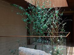 -广州富力君悦大酒店空中花园