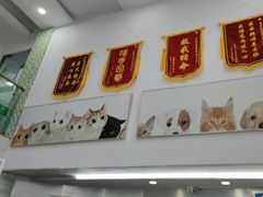 -爱侣宠医·鹦鹉专科·小型哺乳类·异宠专科(灵石路店)