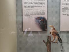 -辽宁古生物博物馆