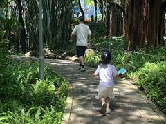 -深圳龙潭公园