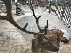 -西安秦岭野生动物园