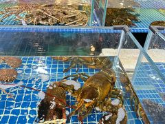 -禄海渔港(九堡店)