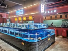 -张家卫·阳江菜·小海鲜(肥婆湾桥店)