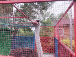 -萌宠亲子动物乐园(槐房万达店)