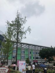 -成都市妇女儿童中心医院(中心院区)