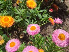 -沪东工人文化宫