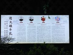 -周大娘牛乳(旧寨古村总店)