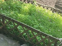 -花间酒庭院餐厅(谷山店)