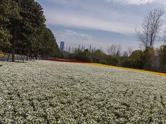 -上海市龙华烈士陵园