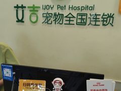 -艾吉宠物医院·疑难杂症转诊中心·猫友好(碧江路院)