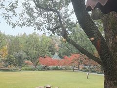 -申粤轩酒楼·三十年粤菜经典(丁香花园店)