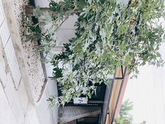 -boundaries籬苑(瑞光创意工厂-贰号院店)