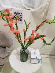 -安那般那皮肤年轻化ANAPANA