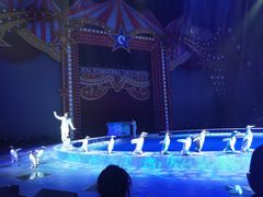 -珠海横琴长隆《卡卡虎奇遇记》